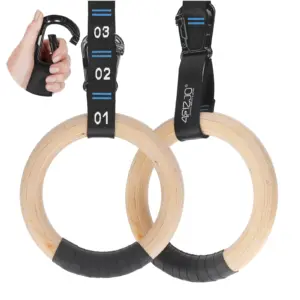 Blå Turnringer For Pull-Ups