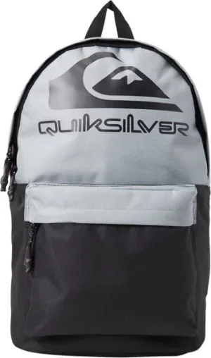 The Poster Logo 26L Quiksilver-Ryggsekk