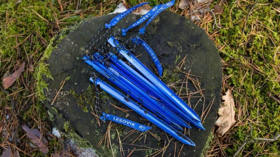 Følg Spig Lesovik – bilde 3 av 3