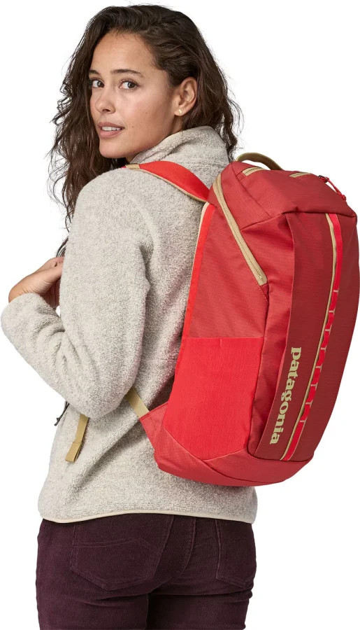Ryggsekk Black Hole Pack Logo 25 l – Patagonia – bilde 4 av 5