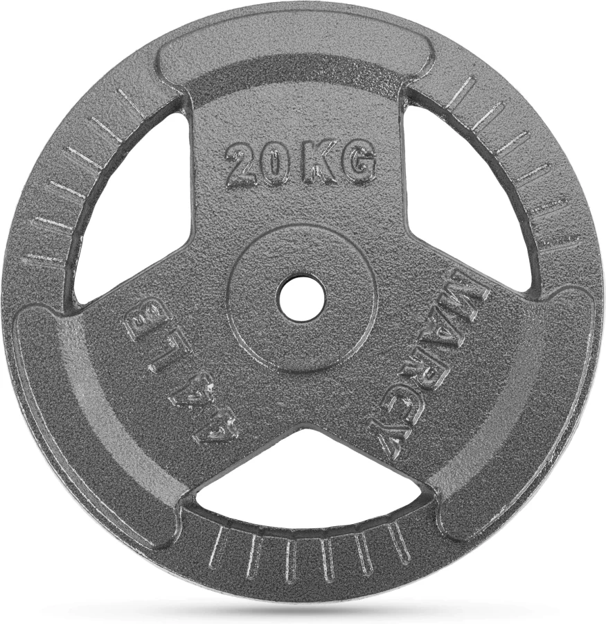 Vektskive i støpejern 20 kg – 30 mm – Gymtek – bilde 2 av 5