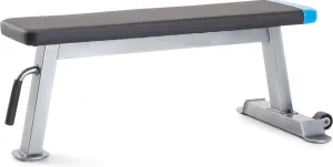 Carbon Strength Proform Treningsbenk