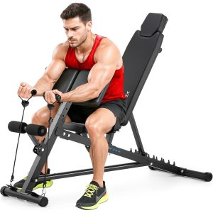 Gymtek Xl800 Prekebenk Med Utvidere
